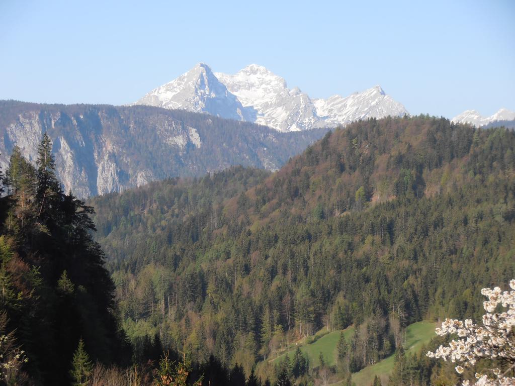 Penzion Pr' Betel Jesenice Kültér fotó