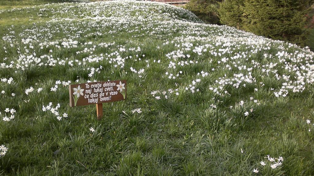 Penzion Pr' Betel Jesenice Kültér fotó